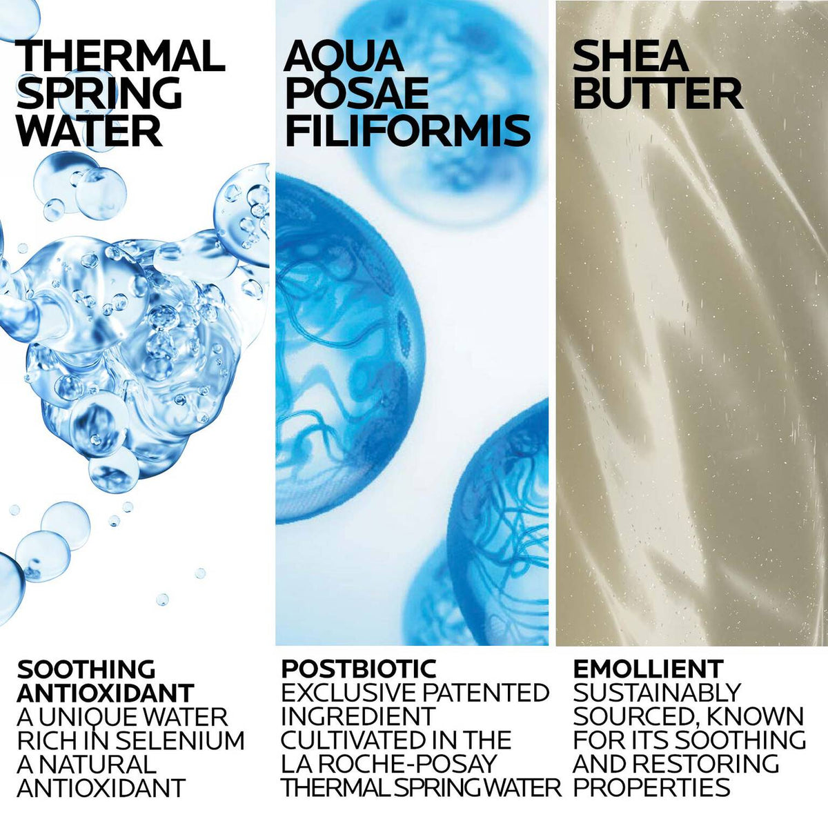 lipikar-wash-ap-moisturizing-body-and-face-wash-c6 Lipikar-Wash-ingredients_1500x1500-REV.jpg